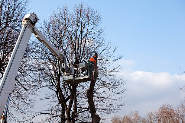 Landscape Design and Installation in Green Oaks, IL